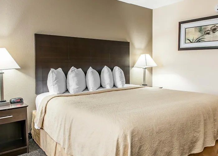 Hotel Quality & South 4*