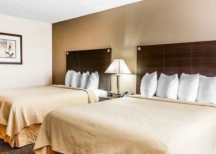 Hotel Quality & South 4*